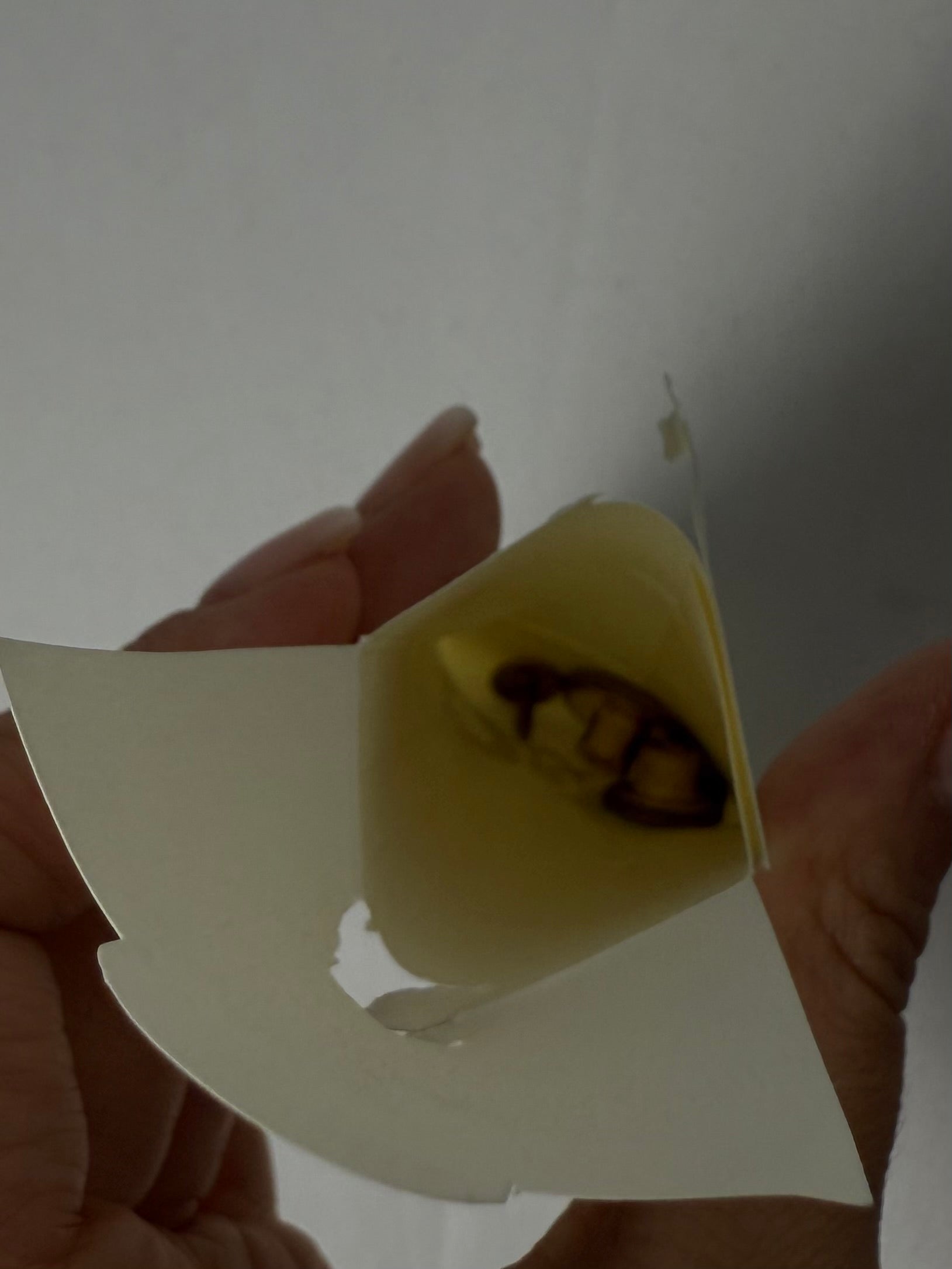 Blue denim low rise skinny pants (S)