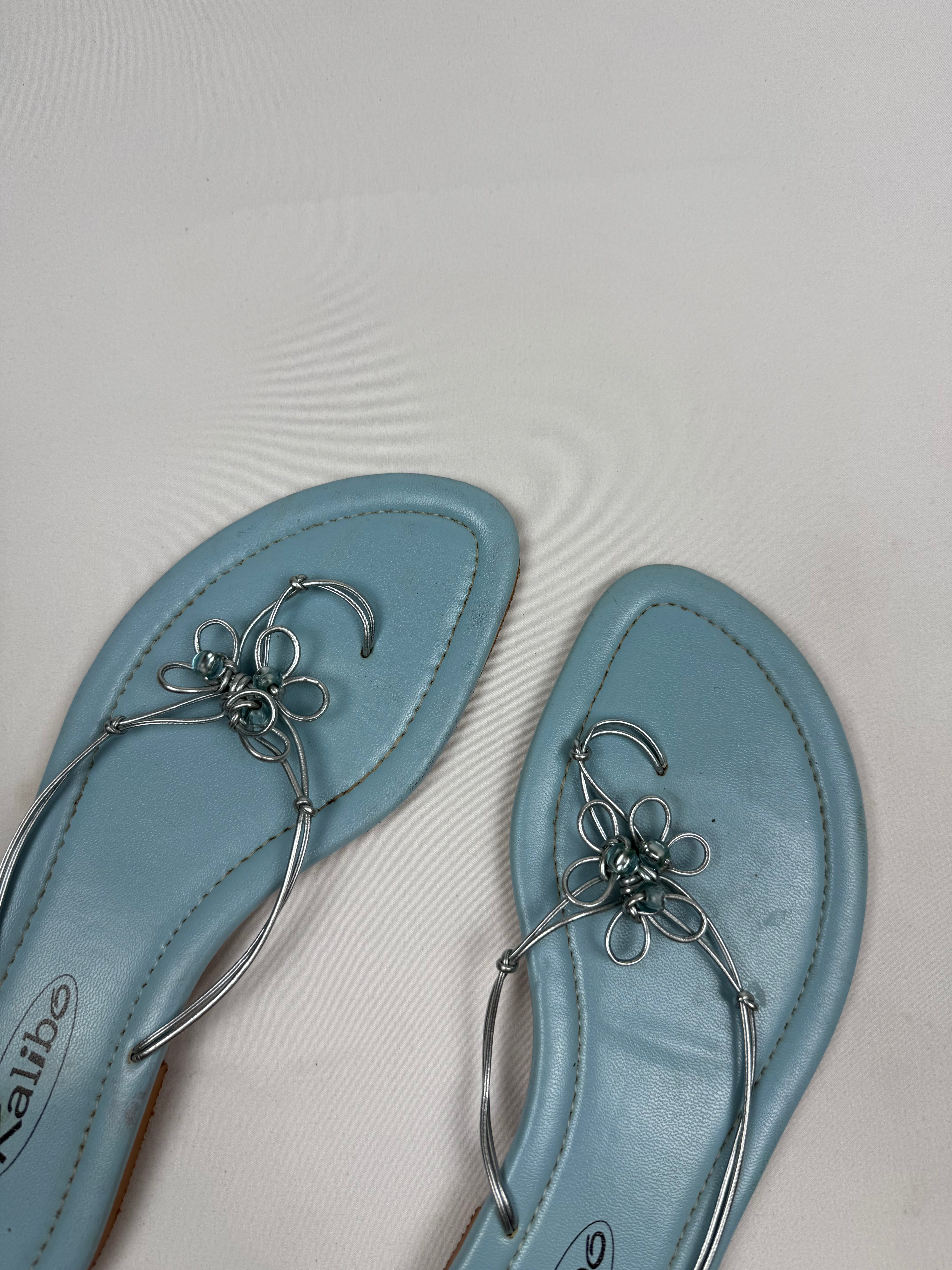 Blue flip flops thongs mules (40)
